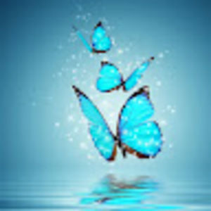 Meet your Posher, Arwen